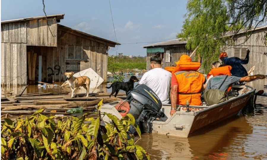 Olha os que estão fazendo com os cachorrinhos do Rio Grande do Sul